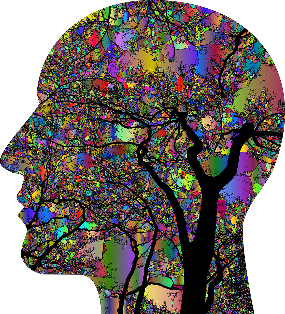 Neurons That Fire Together Wire Together